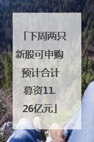 下周两只新股可申购 预计合计募资11.26亿元
