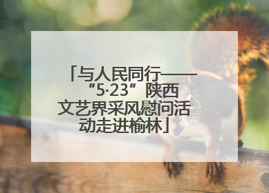与人民同行——“5·23”陕西文艺界采风慰问活动走进榆林