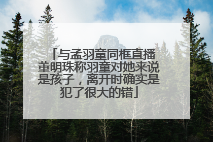 与孟羽童同框直播 董明珠称羽童对她来说是孩子，离开时确实是犯了很大的错