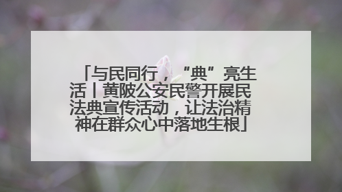 与民同行，“典”亮生活丨黄陂公安民警开展民法典宣传活动，让法治精神在群众心中落地生根