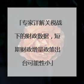 专家详解关税战下的财政数据，短期财政增量政策出台可能性小