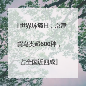 世界环境日：京津冀鸟类超600种，占全国近四成