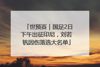 世预赛｜国足2日下午出征印尼，刘若钒因伤落选大名单