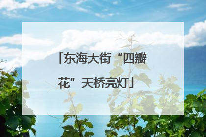 东海大街“四瓣花”天桥亮灯