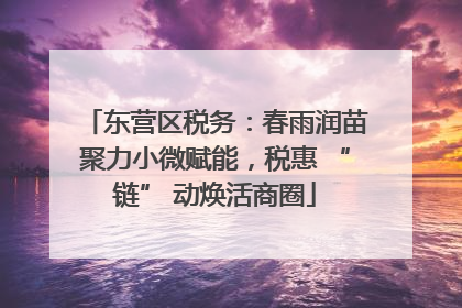 东营区税务：春雨润苗聚力小微赋能，税惠 “链” 动焕活商圈