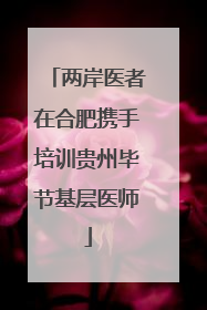 两岸医者在合肥携手培训贵州毕节基层医师