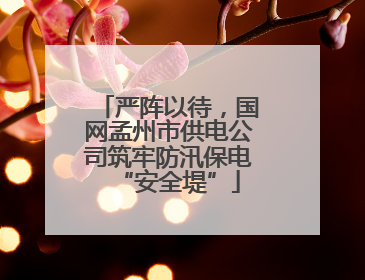 严阵以待，国网孟州市供电公司筑牢防汛保电“安全堤”