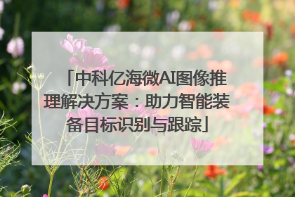 中科亿海微AI图像推理解决方案：助力智能装备目标识别与跟踪