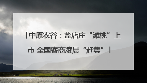 中原农谷：盐店庄“滩桃”上市 全国客商凌晨“赶集”