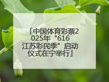 中国体育彩票2025年“616江苏彩民季”启动仪式在宁举行