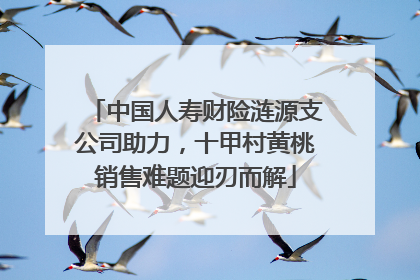 中国人寿财险涟源支公司助力，十甲村黄桃销售难题迎刃而解