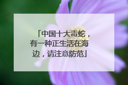 中国十大毒蛇，有一种正生活在海边，请注意防范