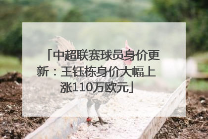 中超联赛球员身价更新：王钰栋身价大幅上涨110万欧元