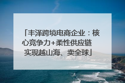 丰泽跨境电商企业：核心竞争力+柔性供应链 实现越山海、卖全球