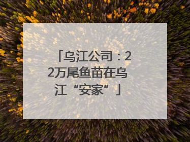 乌江公司：22万尾鱼苗在乌江“安家”