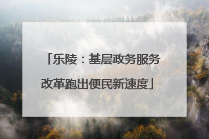 乐陵：基层政务服务改革跑出便民新速度