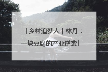 乡村追梦人｜林丹：一块豆腐的产业逆袭