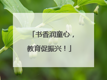 书香润童心，教育促振兴！