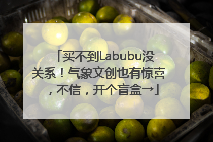 买不到Labubu没关系！气象文创也有惊喜，不信，开个盲盒→
