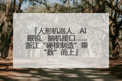 人形机器人、AI眼镜、脑机接口……浙江“硬核制造”乘“数”而上