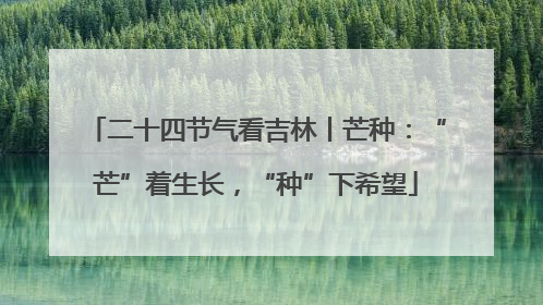 二十四节气看吉林丨芒种：“芒”着生长，“种”下希望