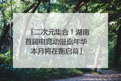 二次元集合！湖南首届电竞动漫嘉年华本月将在衡启幕