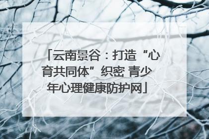 云南景谷：打造“心育共同体”织密 青少年心理健康防护网