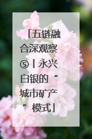 五链融合深观察⑤丨永兴白银的“城市矿产”模式