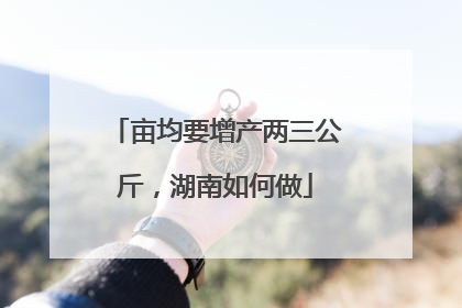 亩均要增产两三公斤，湖南如何做