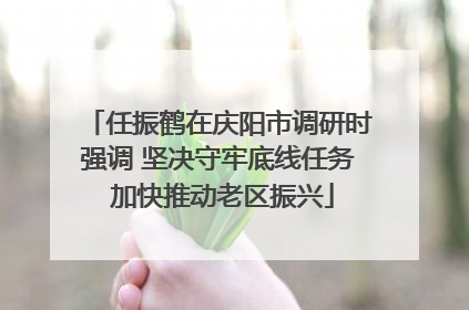 任振鹤在庆阳市调研时强调 坚决守牢底线任务 加快推动老区振兴