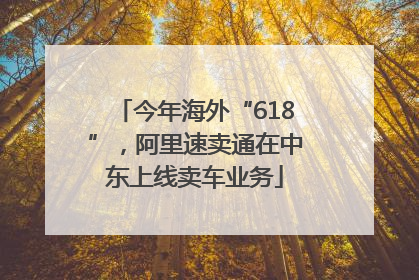 今年海外“618”，阿里速卖通在中东上线卖车业务