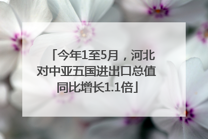 今年1至5月，河北对中亚五国进出口总值同比增长1.1倍