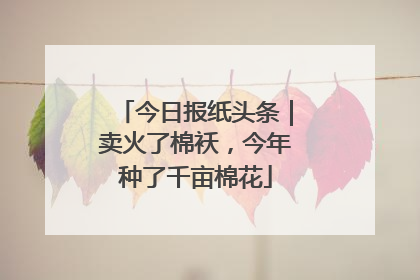 今日报纸头条｜卖火了棉袄，今年种了千亩棉花