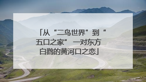 从“二鸟世界”到“五口之家” 一对东方白鹳的黄河口之恋