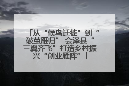 从“候鸟迁徙”到“破茧雁归” 会泽县“三翼齐飞”打造乡村振兴“创业雁阵”