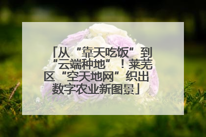 从“靠天吃饭”到“云端种地”！莱芜区“空天地网”织出数字农业新图景