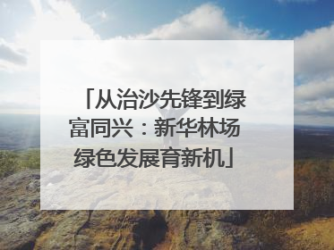 从治沙先锋到绿富同兴：新华林场绿色发展育新机