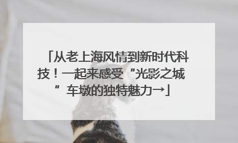 从老上海风情到新时代科技！一起来感受“光影之城”车墩的独特魅力→