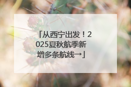 从西宁出发！2025夏秋航季新增多条航线→