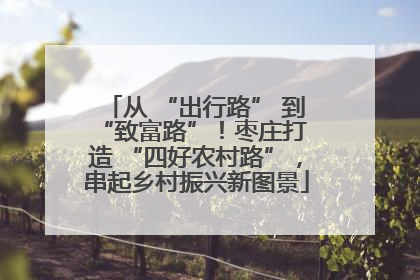 从 “出行路” 到 “致富路”！枣庄打造 “四好农村路”，串起乡村振兴新图景