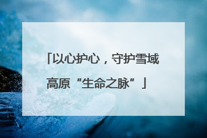 以心护心，守护雪域高原“生命之脉”