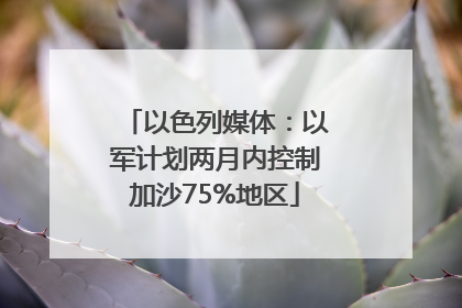 以色列媒体：以军计划两月内控制加沙75%地区
