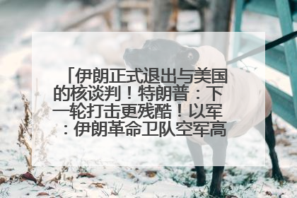伊朗正式退出与美国的核谈判！特朗普：下一轮打击更残酷！以军：伊朗革命卫队空军高层指挥系统已被击垮