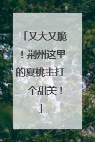 又大又脆！荆州这里的夏桃主打一个甜美！