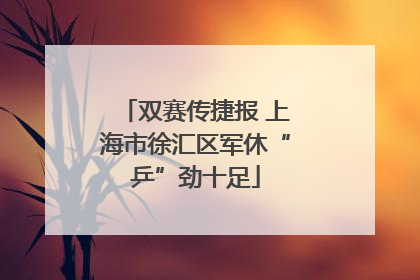 双赛传捷报 上海市徐汇区军休“乒”劲十足