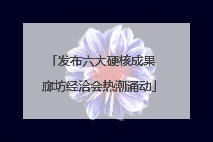 发布六大硬核成果 廊坊经洽会热潮涌动