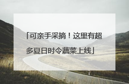 可亲手采摘！这里有超多夏日时令蔬菜上线