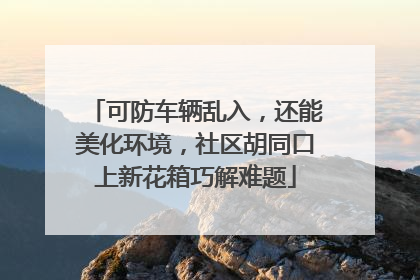可防车辆乱入，还能美化环境，社区胡同口上新花箱巧解难题