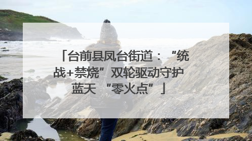 台前县凤台街道：“统战+禁烧”双轮驱动守护蓝天 “零火点”