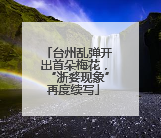 台州乱弹开出首朵梅花，“浙婺现象”再度续写